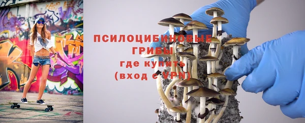 ALPHA PVP Калининец